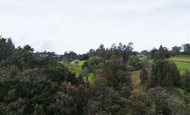 PR20199 Oficina en arriendo en el sector Altos de Palmas