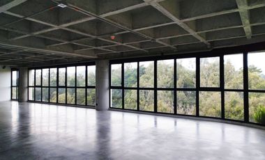 PR20199 Oficina en arriendo en el sector Altos de Palmas