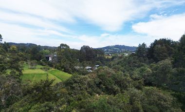 PR20199 Oficina en arriendo en el sector Altos de Palmas