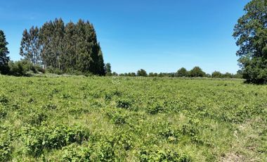 PARCELAS A 15 KM DE RIO BUENO CON ACCESO A RIO
