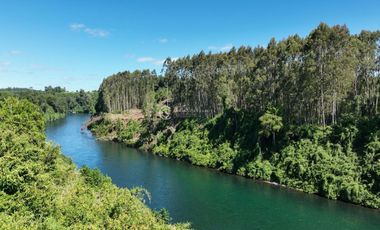PARCELAS A 15 KM DE RIO BUENO CON ACCESO A RIO