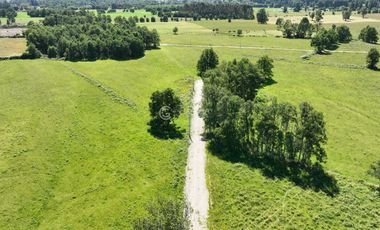 PARCELAS A 15 KM DE RIO BUENO CON ACCESO A RIO