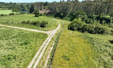 PARCELAS A 15 KM DE RIO BUENO CON ACCESO A RIO