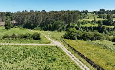 PARCELAS A 15 KM DE RIO BUENO CON ACCESO A RIO
