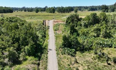 PARCELAS A 15 KM DE RIO BUENO CON ACCESO A RIO