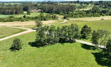 PARCELAS A 15 KM DE RIO BUENO CON ACCESO A RIO
