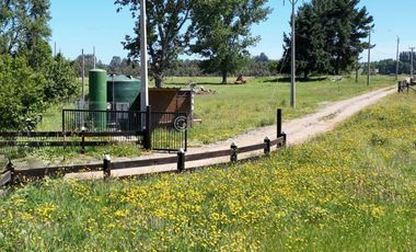 PARCELAS A 15 KM DE RIO BUENO CON ACCESO A RIO