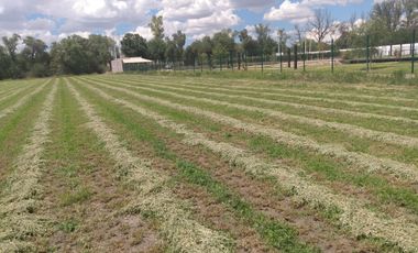 OPORTUNIDAD LUGAR DE EVENTOS CON VIÑEDO EN ZONA CAMPESTRE CERCA AL RIO LAJA EN UNA ZONA CON BASTANTE AGUA EN SAN MIGUEL DE ALLENDE,GTO