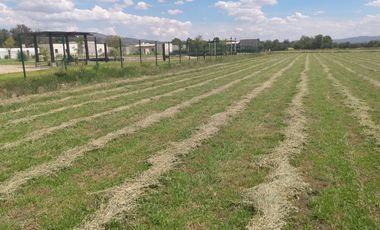 OPORTUNIDAD LUGAR DE EVENTOS CON VIÑEDO EN ZONA CAMPESTRE CERCA AL RIO LAJA EN UNA ZONA CON BASTANTE AGUA EN SAN MIGUEL DE ALLENDE,GTO