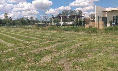 OPORTUNIDAD LUGAR DE EVENTOS CON VIÑEDO EN ZONA CAMPESTRE CERCA AL RIO LAJA EN UNA ZONA CON BASTANTE AGUA EN SAN MIGUEL DE ALLENDE,GTO