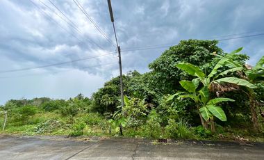 Almost 2 rai of land is for sale in Thai Mueang, Phang Nga.