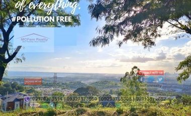 House and Lot for Sale in Taytay Rizal Amarilyo Crest Taytay Rizal