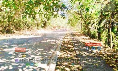 House and Lot for Sale in Taytay Rizal Amarilyo Crest Taytay Rizal