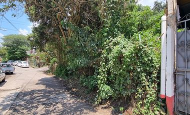 TERRENO EN VENTA, CENTRO DE VALLE.