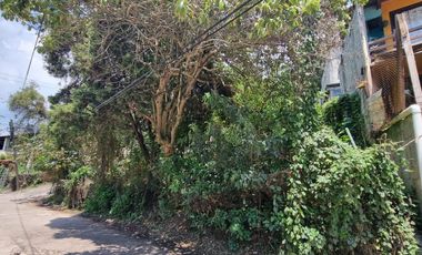 TERRENO EN VENTA, CENTRO DE VALLE.