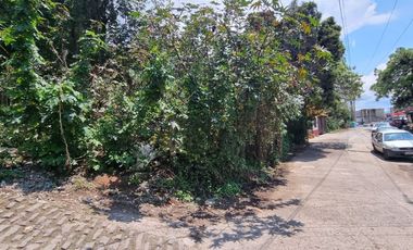 TERRENO EN VENTA, CENTRO DE VALLE.