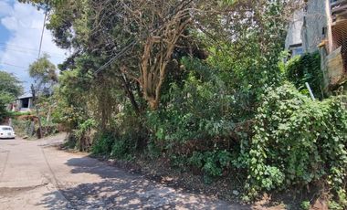 TERRENO EN VENTA, CENTRO DE VALLE.