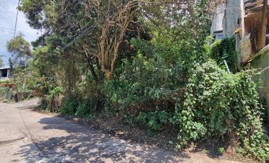 TERRENO EN VENTA, CENTRO DE VALLE.