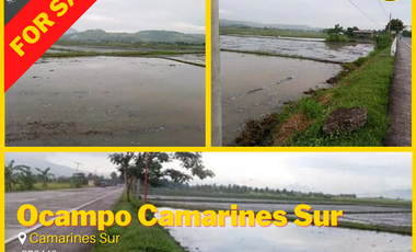 For Sale Agricultural Land In Camarines Sur