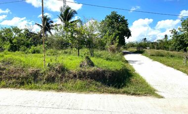 1000sqm Residential or Commercial Lot, Amadeo. Close to Crisanto. P10k/sqm