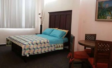 SUITES, MINI SUITES, STUDIOS Y HABITACIONES, AMOBLADOS. SECTOR LA FLORESTA