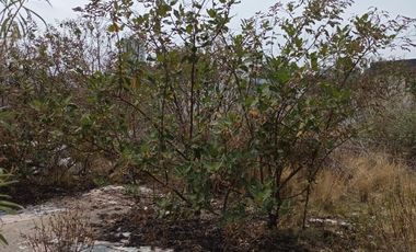 SE VENDE TERRENO EN Calle 30 Norte 2001, Miguel Alemán, Puebla de Zaragoza, Puebla, México