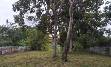 VENDO TERRENO EN MALECON CUMBAZA 1,204 M² MORALES TARAPOTO