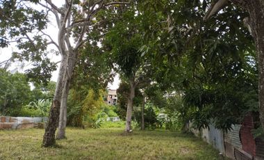 VENDO TERRENO EN MALECON CUMBAZA 1,204 M² MORALES TARAPOTO