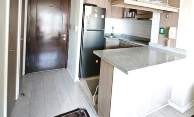 Dpto. 1 Dormitorio 1 Baño Terraza Metro Irarrázaval 33 M2