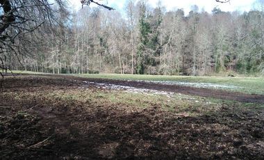 PREDIO AGRÍCOLA GANADERO DE 114 HECTÁREAS COMUNA DE PANGUIPULLI