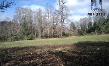 PREDIO AGRÍCOLA GANADERO DE 114 HECTÁREAS COMUNA DE PANGUIPULLI