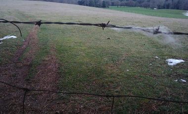 PREDIO AGRÍCOLA GANADERO DE 114 HECTÁREAS COMUNA DE PANGUIPULLI