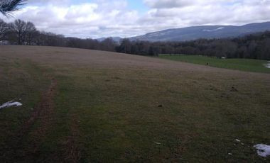 PREDIO AGRÍCOLA GANADERO DE 114 HECTÁREAS COMUNA DE PANGUIPULLI