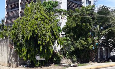 2 BUILDINGS RENT OR SALE  WITH LOT AREA OF 2,232SQM