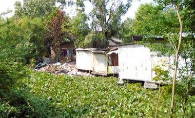 ทรัพย์ บสส. รหัส 8Z4568 ที่ดินเปล่า  สมุทรสาคร