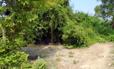 ทรัพย์ บสส. รหัส 8Z4568 ที่ดินเปล่า  สมุทรสาคร