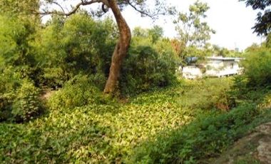 ทรัพย์ บสส. รหัส 8Z4568 ที่ดินเปล่า  สมุทรสาคร