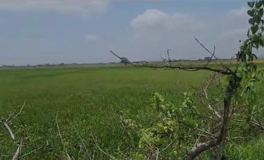 Terreno de Venta en Vía El Pan