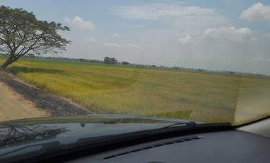 Terreno de Venta en Vía El Pan