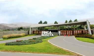 EN VENTA LOTE PARA CASA DE CAMPO - CAÑETE