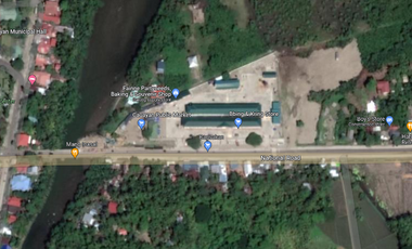 P3128717 Commercial lot for Sale in Cuayan, Negros Occidental