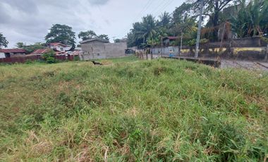 COMMERCIAL LOT FOR SALE ID 14859