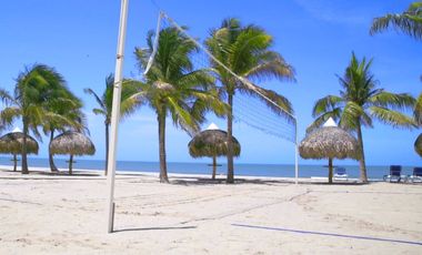 ¡NUEVO! OLAS DEL MAR EN PLAYA CARACOL