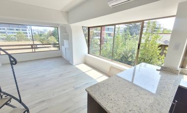 LAS VIOLETAS / RICARDO LYON