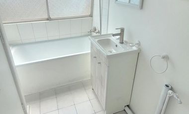 LAS VIOLETAS / RICARDO LYON