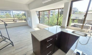 LAS VIOLETAS / RICARDO LYON