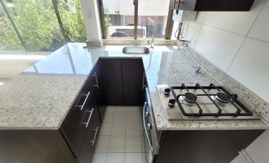 LAS VIOLETAS / RICARDO LYON