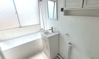 LAS VIOLETAS / RICARDO LYON