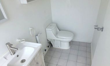 LAS VIOLETAS / RICARDO LYON