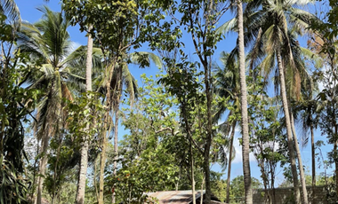 FOR SALE! 6,592sqm Farm Lot with fruit bearing trees at San Joaquin, Sto Tomas Batangas
